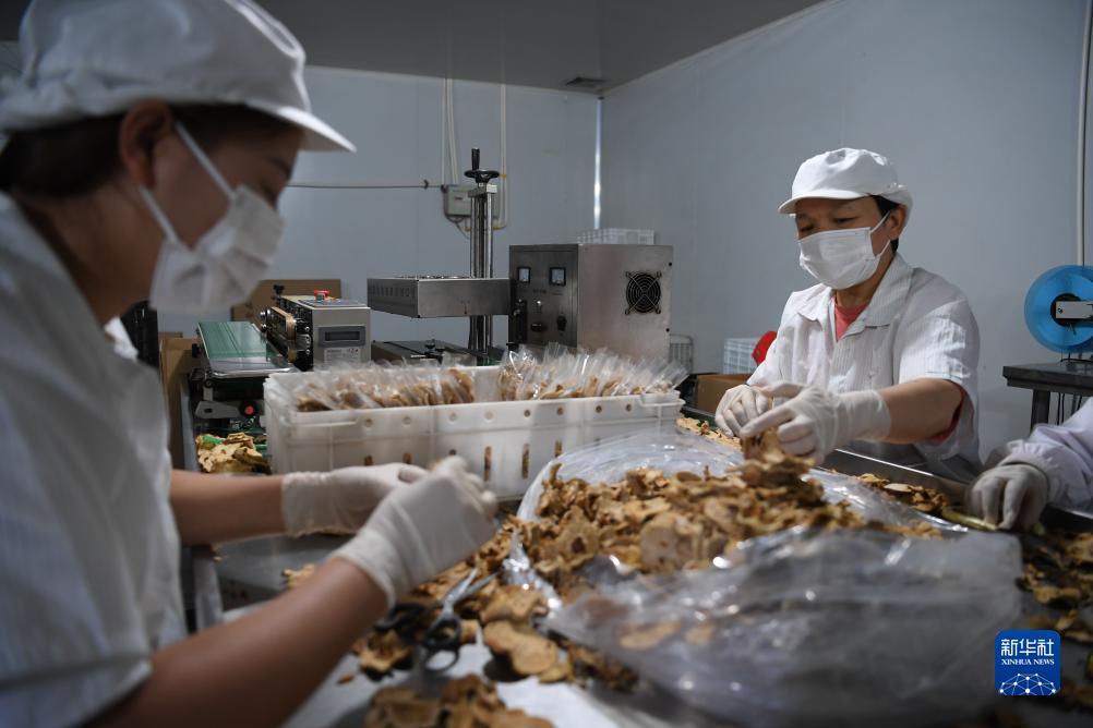 威尼娱乐app是干啥的